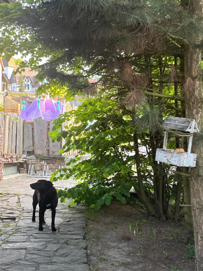 Willa Rycerz Niedzica Zamek Exterior foto